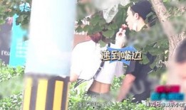 圈内爆料王鹤棣的公司,揭秘娱乐圈新贵背后的商业帝国